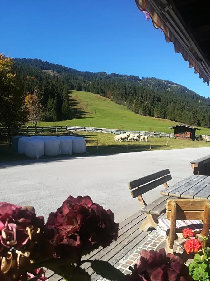 Farm stay Walchauhof Flachau