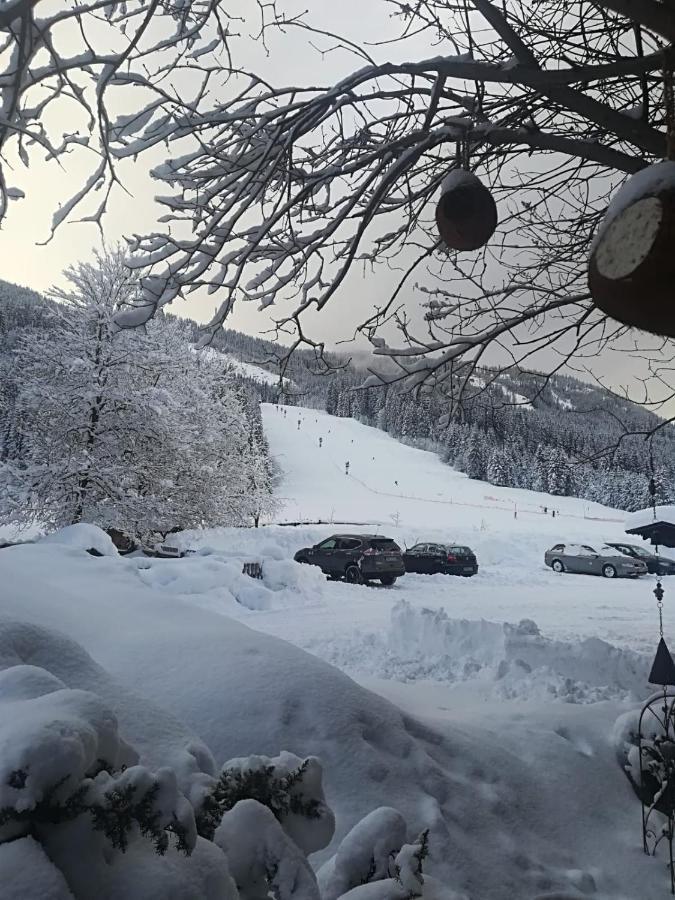 Walchauhof Farm stay Flachau