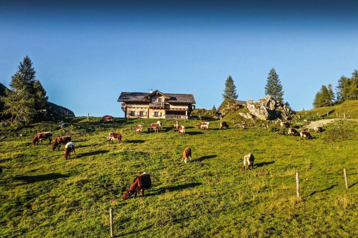 Farm stay Walchauhof Flachau