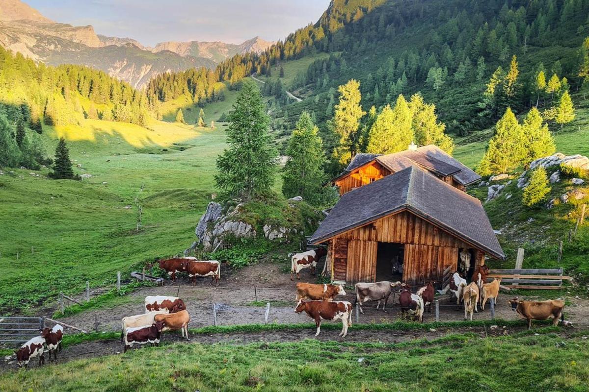 Walchauhof Farm stay *