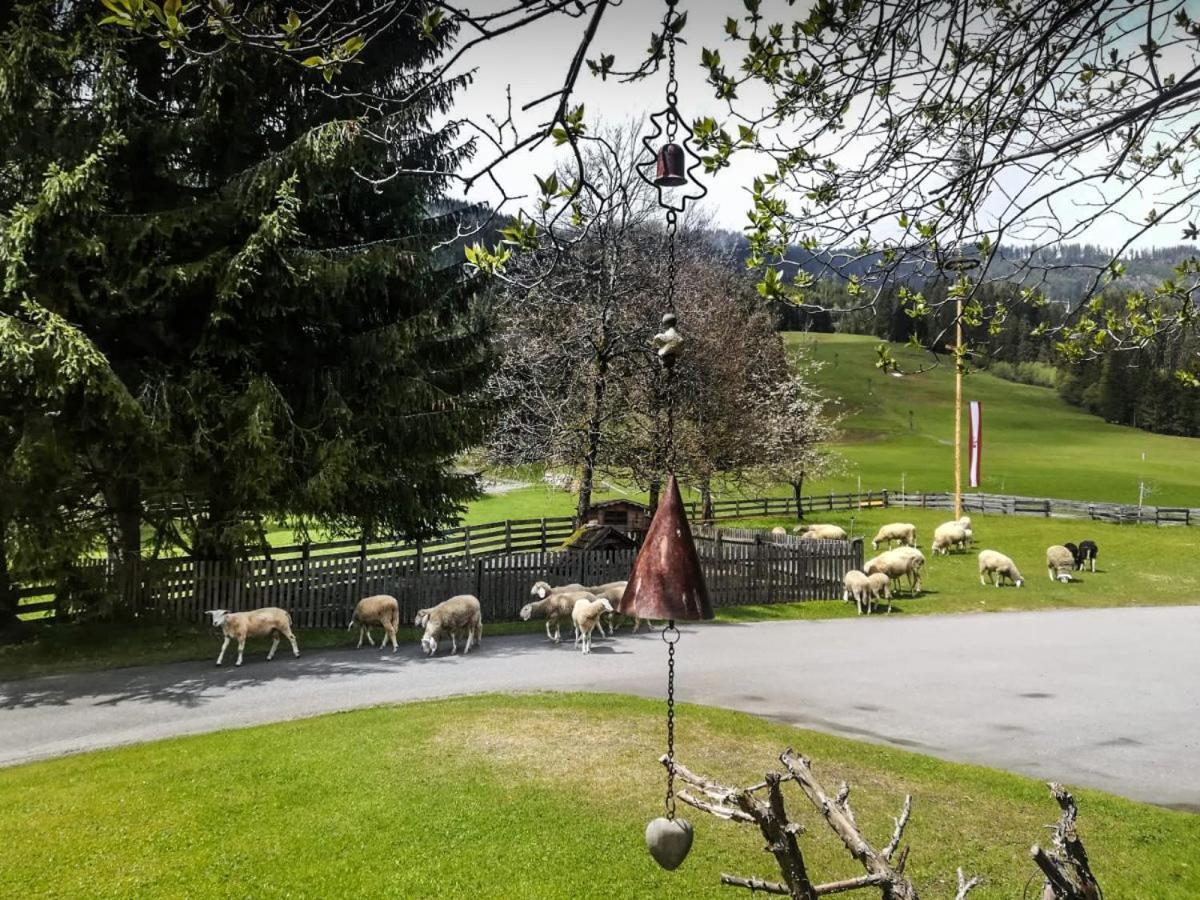 Walchauhof Farm stay Flachau